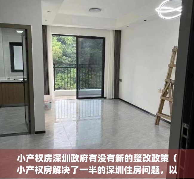 小产权房深圳政府有没有新的整改政策（小产权房解决了一半的深圳住房问题，以后能够合法确权吗？）