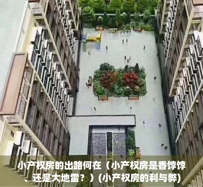 小产权房的出路何在（小产权房是香饽饽、还是大地雷？）(小产权房的利与弊)