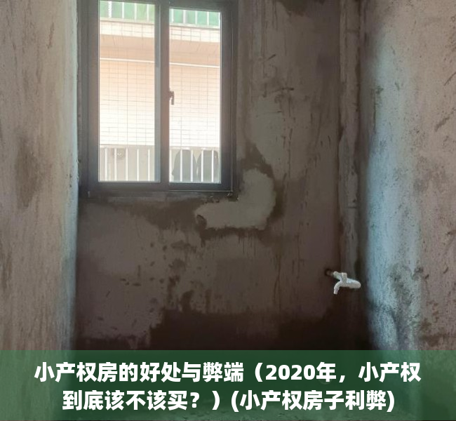 小产权房的好处与弊端（2020年，小产权到底该不该买？）(小产权房子利弊)
