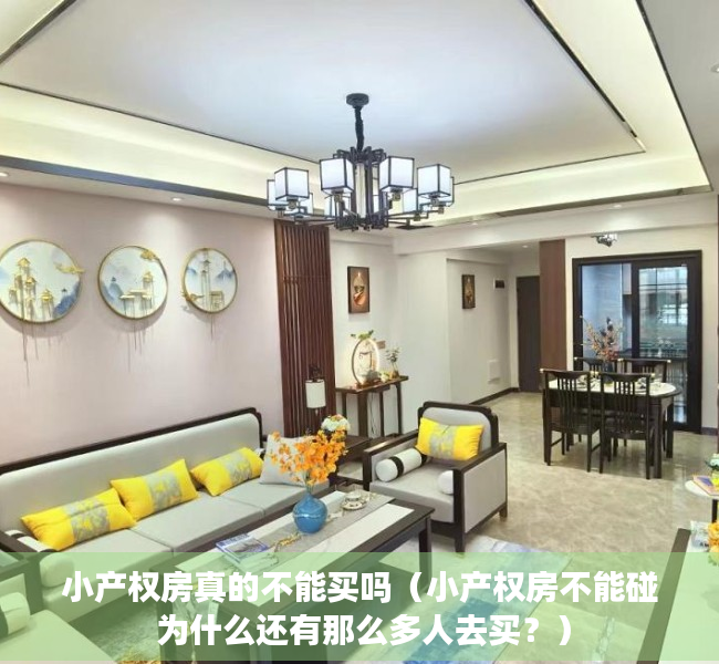 小产权房真的不能买吗（小产权房不能碰 为什么还有那么多人去买？）