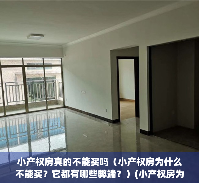 小产权房真的不能买吗（小产权房为什么不能买？它都有哪些弊端？）(小产权房为何不能买)