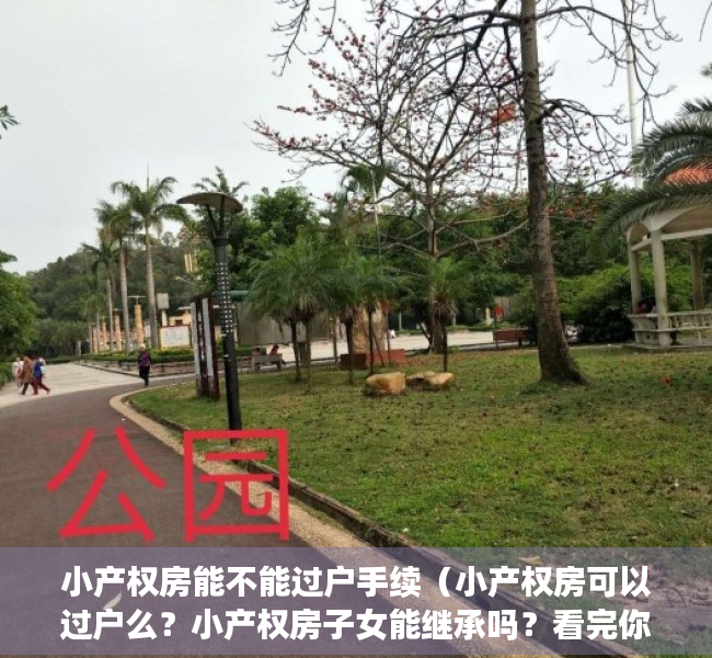 小产权房能不能过户手续（小产权房可以过户么？小产权房子女能继承吗？看完你就知道了）