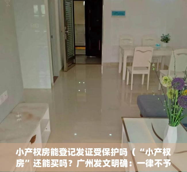 小产权房能登记发证受保护吗（“小产权房”还能买吗？广州发文明确：一律不予确权登记）