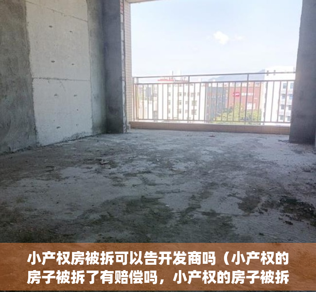 小产权房被拆可以告开发商吗（小产权的房子被拆了有赔偿吗，小产权的房子被拆了怎么办？）