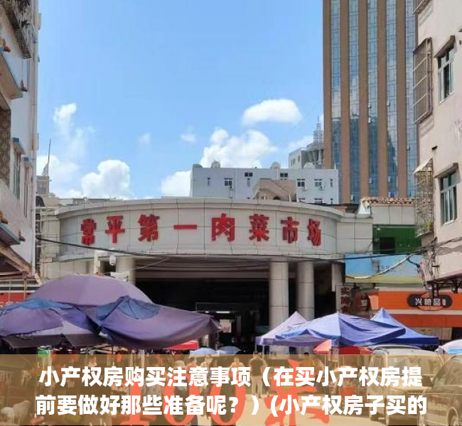 小产权房购买注意事项（在买小产权房提前要做好那些准备呢？）(小产权房子买的时候应该注意什么)