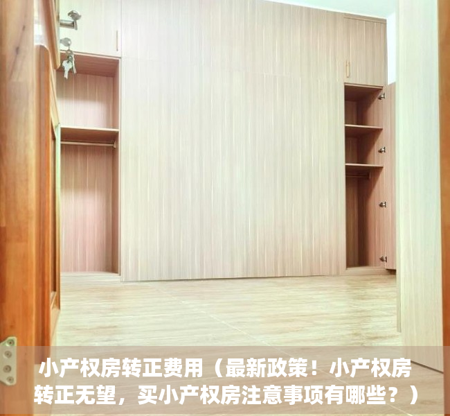 小产权房转正费用（最新政策！小产权房转正无望，买小产权房注意事项有哪些？）