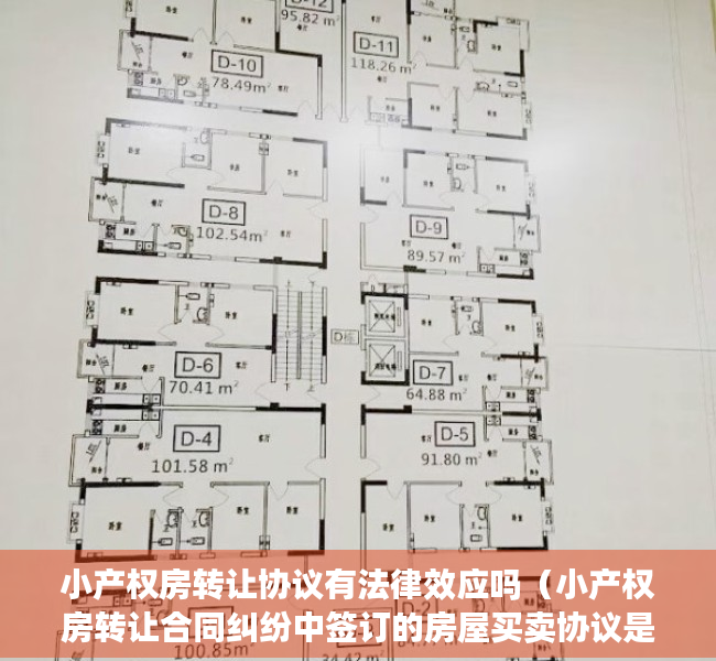 小产权房转让协议有法律效应吗（小产权房转让合同纠纷中签订的房屋买卖协议是否有效）