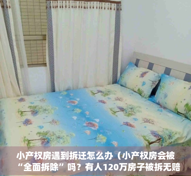 小产权房遇到拆迁怎么办（小产权房会被“全面拆除”吗？有人120万房子被拆无赔偿）