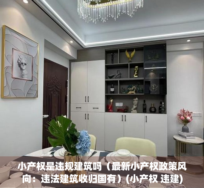 小产权是违规建筑吗（最新小产权政策风向：违法建筑收归国有）(小产权 违建)
