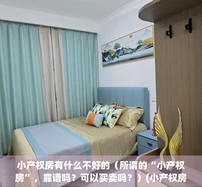 小产权房有什么不好的（所谓的“小产权房”，靠谱吗？可以买卖吗？）(小产权房有什么不好之处)