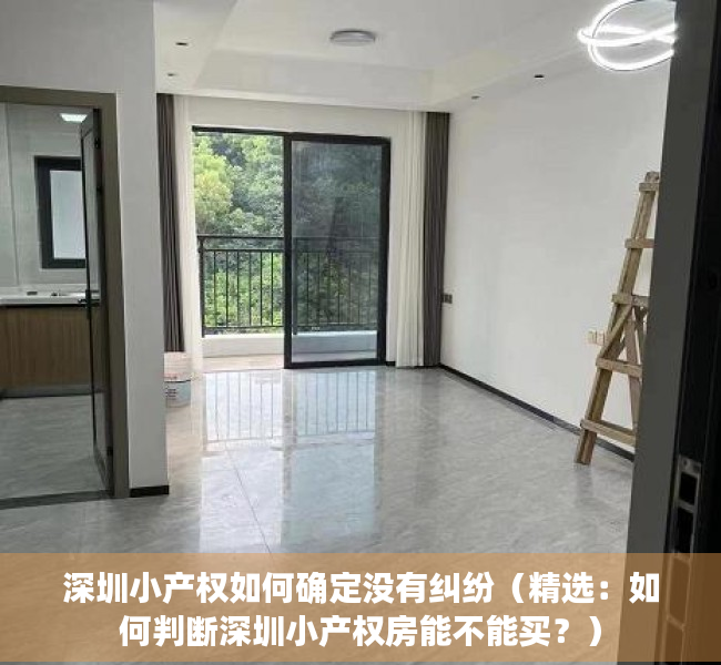 深圳小产权如何确定没有纠纷（精选：如何判断深圳小产权房能不能买？）