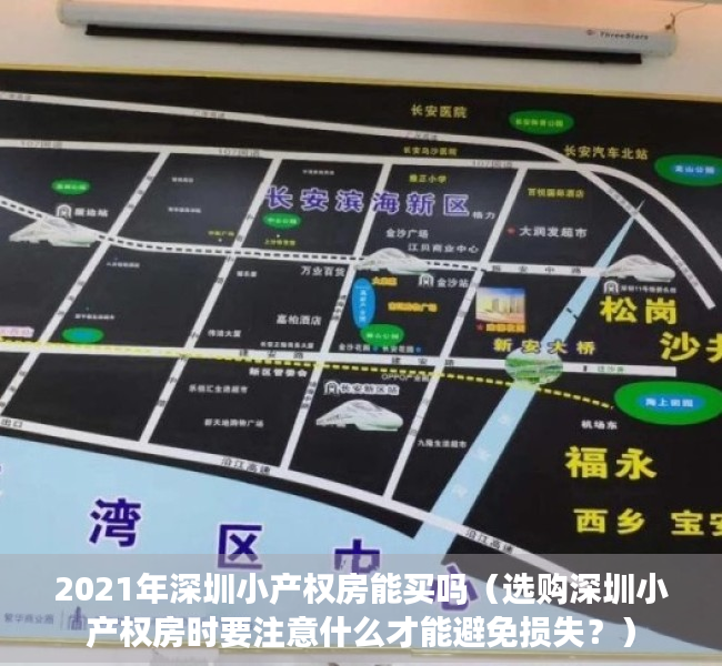 2021年深圳小产权房能买吗（选购深圳小产权房时要注意什么才能避免损失？）