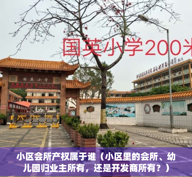 小区会所产权属于谁（小区里的会所、幼儿园归业主所有，还是开发商所有？）