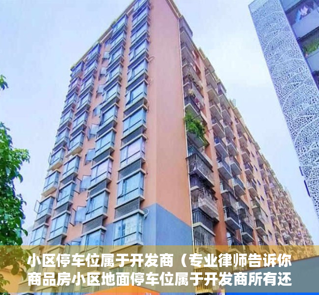 小区停车位属于开发商（专业律师告诉你商品房小区地面停车位属于开发商所有还是业主共有）