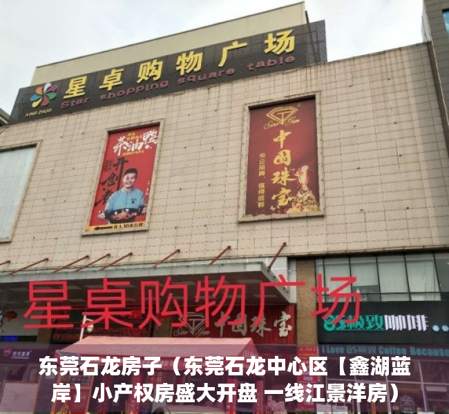 东莞石龙房子（东莞石龙中心区【鑫湖蓝岸】小产权房盛大开盘 一线江景洋房）