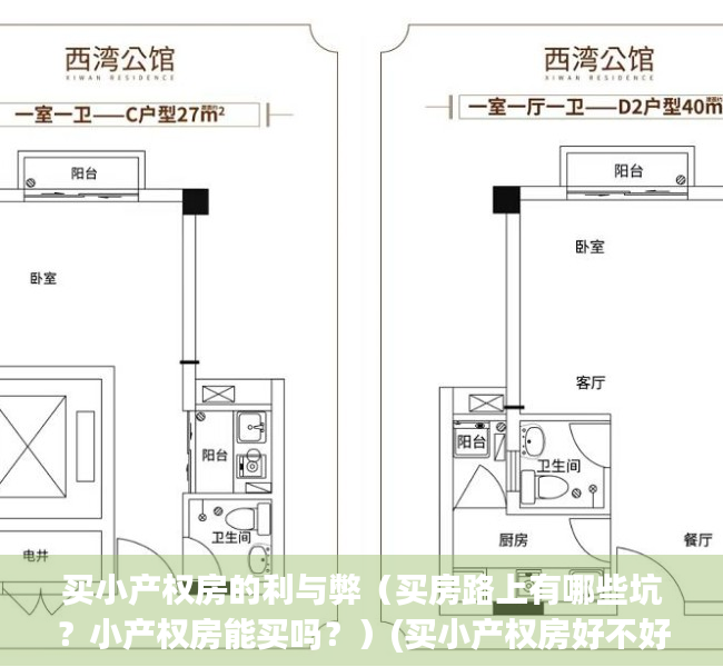 买小产权房的利与弊（买房路上有哪些坑？小产权房能买吗？）(买小产权房好不好?)