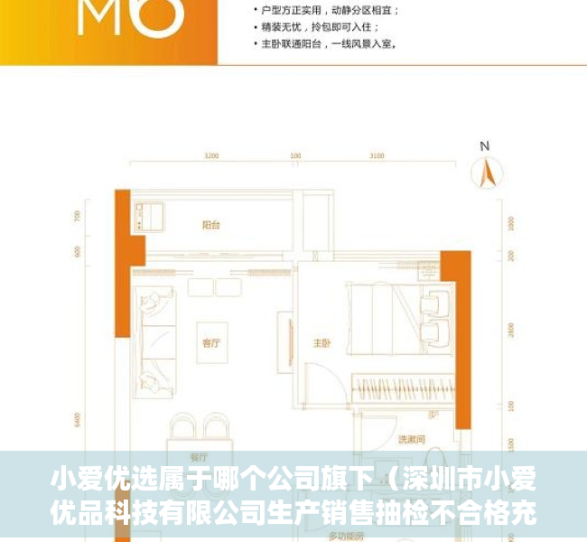 小爱优选属于哪个公司旗下（深圳市小爱优品科技有限公司生产销售抽检不合格充电器案）