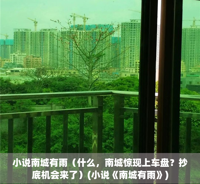 小说南城有雨（什么，南城惊现上车盘？抄底机会来了）(小说《南城有雨》)