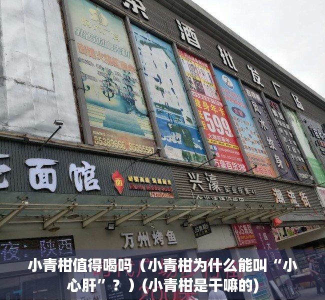小青柑值得喝吗（小青柑为什么能叫“小心肝”？）(小青柑是干嘛的)
