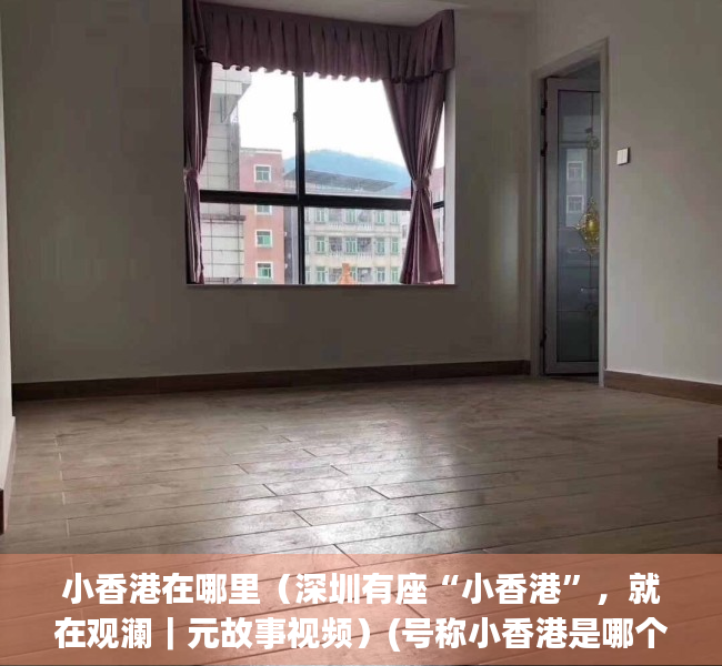 小香港在哪里（深圳有座“小香港”，就在观澜｜元故事视频）(号称小香港是哪个城市)
