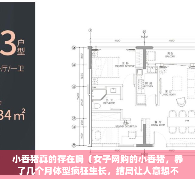 小香猪真的存在吗（女子网购的小香猪，养了几个月体型疯狂生长，结局让人意想不到）
