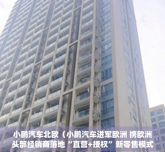 小鹏汽车北欧（小鹏汽车进军欧洲 携欧洲头部经销商落地“直营+授权”新零售模式）