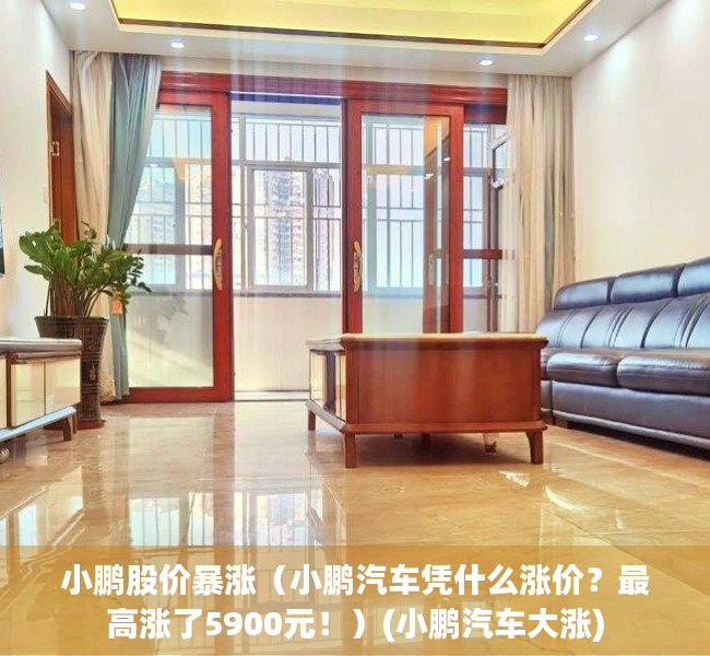 小鹏股价暴涨（小鹏汽车凭什么涨价？最高涨了5900元！）(小鹏汽车大涨)