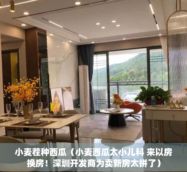 小麦茬种西瓜（小麦西瓜太小儿科 来以房换房！深圳开发商为卖新房太拼了）