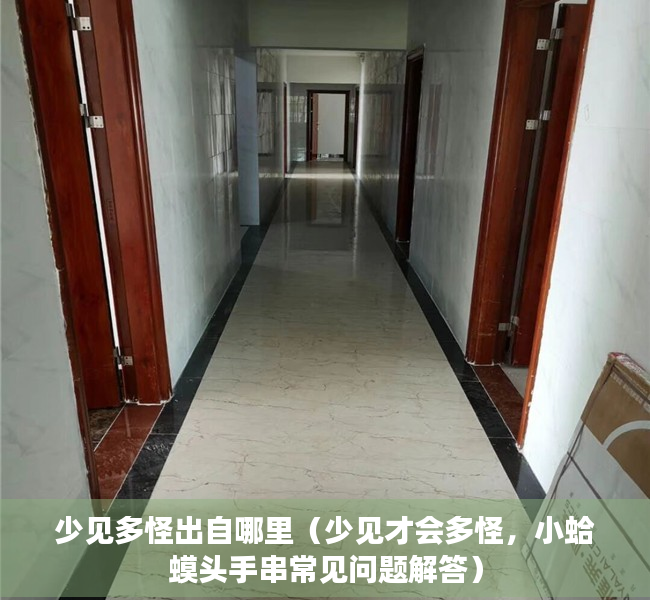 少见多怪出自哪里（少见才会多怪，小蛤蟆头手串常见问题解答）