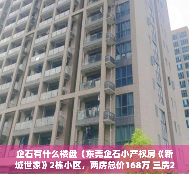 企石有什么楼盘（东莞企石小产权房《新城世家》2栋小区，两房总价168万 三房278万，首付8万，月供1900现房多套带装修出售 马路第一排）