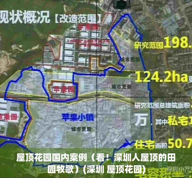 屋顶花园国内案例（看！深圳人屋顶的田园牧歌）(深圳 屋顶花园)