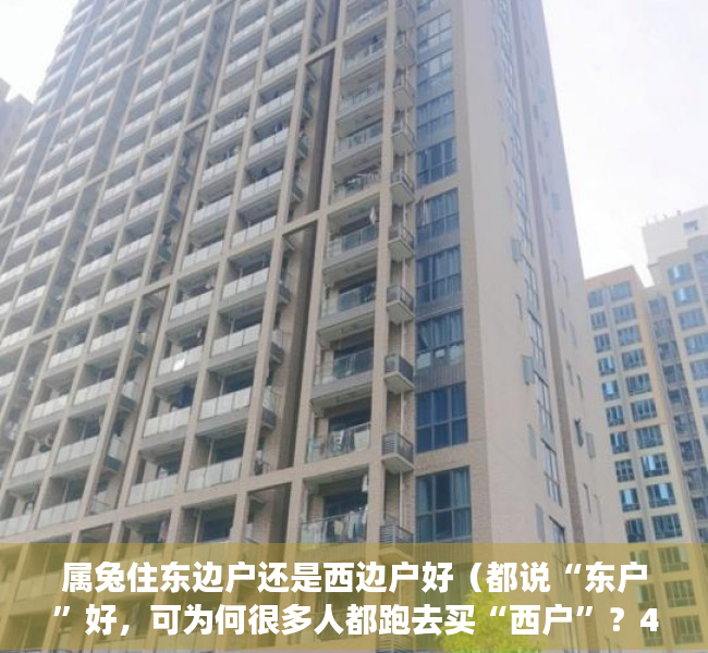 属兔住东边户还是西边户好（都说“东户”好，可为何很多人都跑去买“西户”？4个原因告诉你）