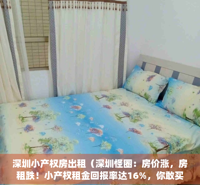 深圳小产权房出租（深圳怪圈：房价涨，房租跌！小产权租金回报率达16%，你敢买吗？）