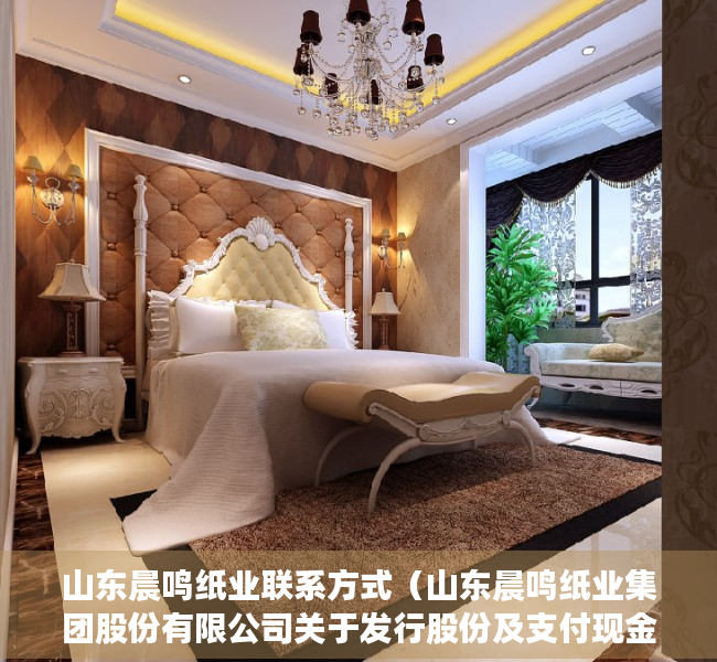 山东晨鸣纸业联系方式（山东晨鸣纸业集团股份有限公司关于发行股份及支付现金购买资产暨关联交易申请获得深圳证券交易所受理的公告）