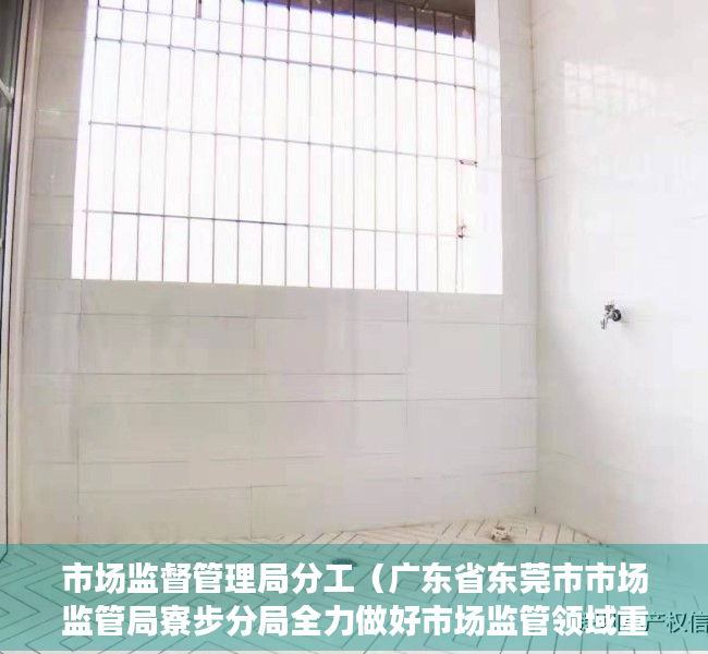 市场监督管理局分工（广东省东莞市市场监管局寮步分局全力做好市场监管领域重点工作）