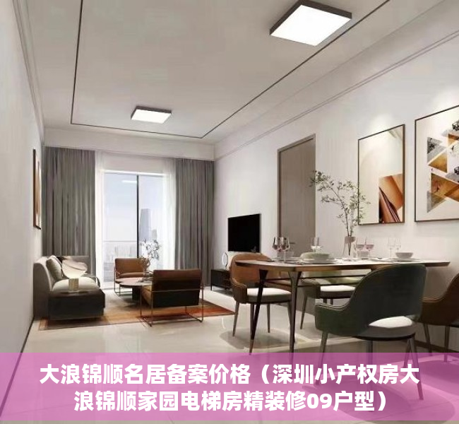 大浪锦顺名居备案价格（深圳小产权房大浪锦顺家园电梯房精装修09户型）
