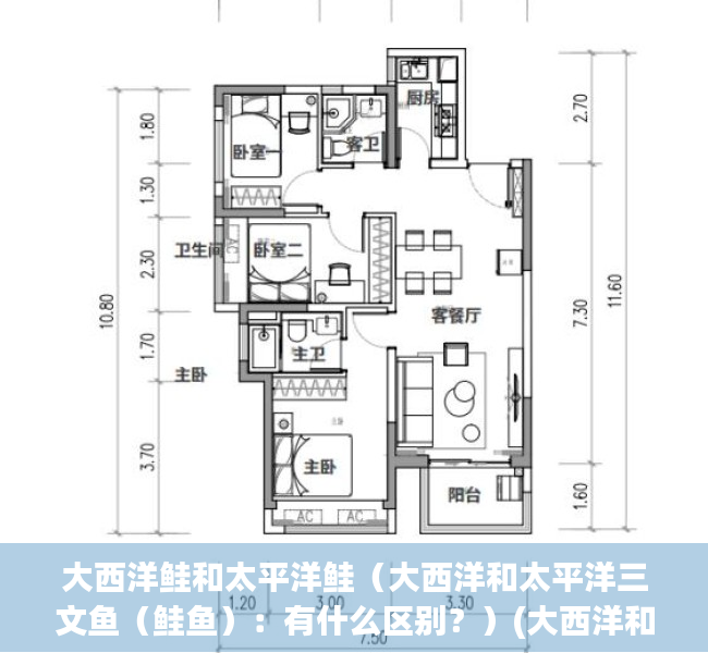 大西洋鲑和太平洋鲑（大西洋和太平洋三文鱼（鲑鱼）：有什么区别？）(大西洋和太平洋鱼类区别)