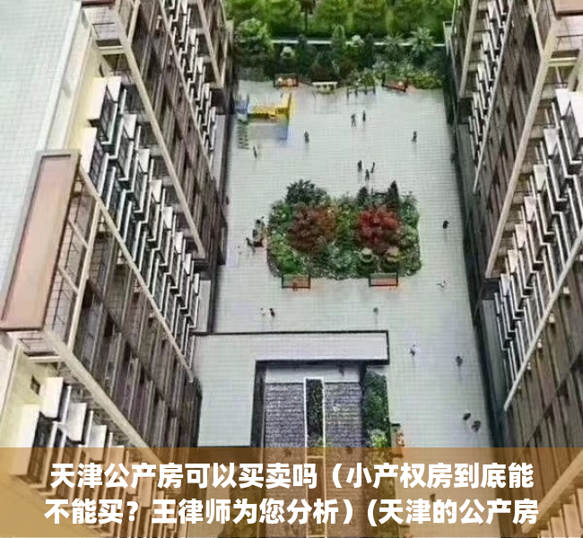 天津公产房可以买卖吗（小产权房到底能不能买？王律师为您分析）(天津的公产房好卖吗)