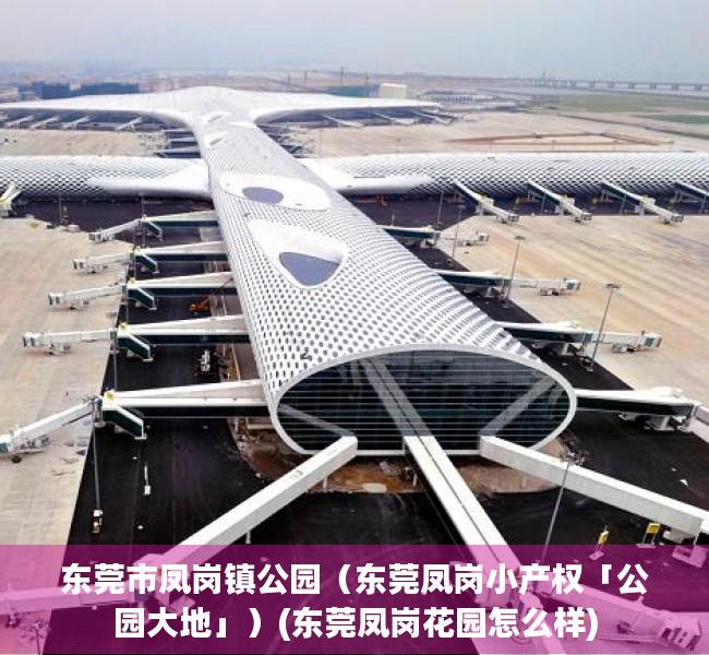 东莞市凤岗镇公园（东莞凤岗小产权「公园大地」）(东莞凤岗花园怎么样)