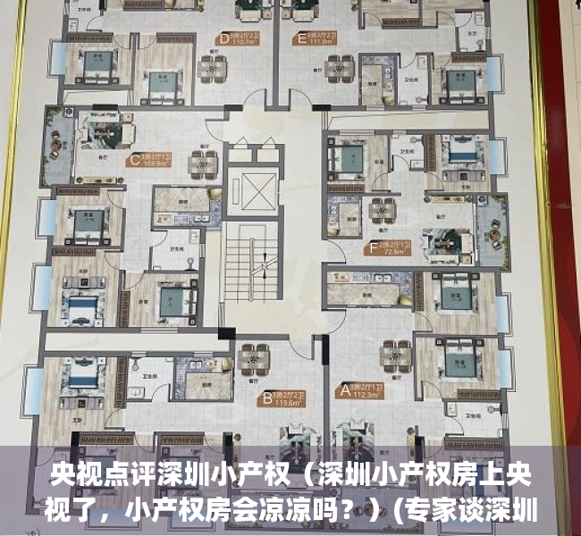 央视点评深圳小产权（深圳小产权房上央视了，小产权房会凉凉吗？）(专家谈深圳小产权房的未来)