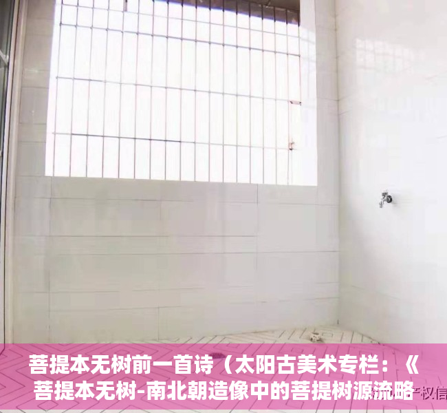 菩提本无树前一首诗（太阳古美术专栏：《菩提本无树-南北朝造像中的菩提树源流略考》）