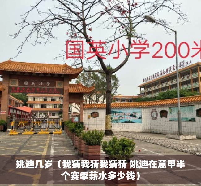 姚迪几岁（我猜我猜我猜猜 姚迪在意甲半个赛季薪水多少钱）