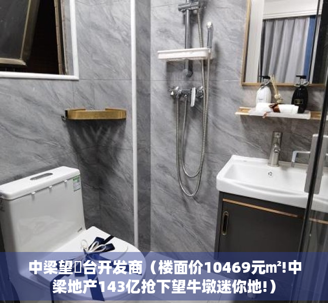 中梁望璟台开发商（楼面价10469元㎡!中梁地产143亿抢下望牛墩迷你地!）