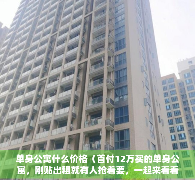 单身公寓什么价格（首付12万买的单身公寓，刚贴出租就有人抢着要，一起来看看吧！）