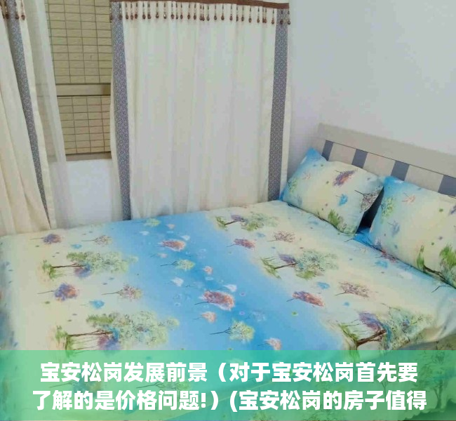 宝安松岗发展前景（对于宝安松岗首先要了解的是价格问题!）(宝安松岗的房子值得买吗)