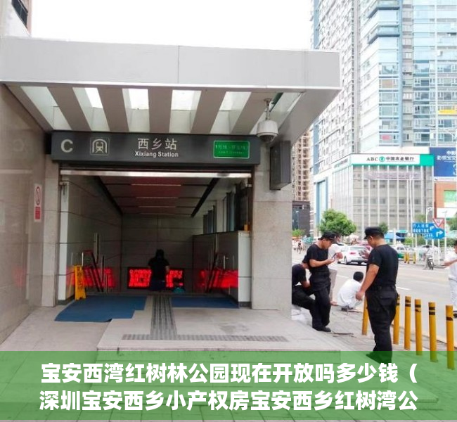 宝安西湾红树林公园现在开放吗多少钱（深圳宝安西乡小产权房宝安西乡红树湾公园）