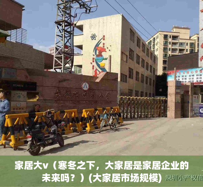家居大v（寒冬之下，大家居是家居企业的未来吗？）(大家居市场规模)