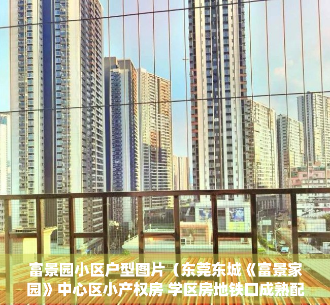 富景园小区户型图片（东莞东城《富景家园》中心区小产权房 学区房地铁口成熟配套单价3888元起）