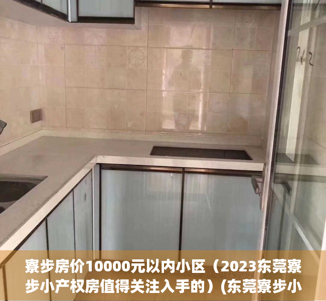 寮步房价10000元以内小区（2023东莞寮步小产权房值得关注入手的）(东莞寮步小产权房多少钱一平米)