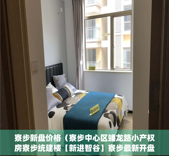寮步新盘价格（寮步中心区蟠龙路小产权房寮步统建楼【新进智谷】寮步最新开盘小产权房【新进智谷】6栋大规模小区花园房 环境优美 带停车场 户型方正）